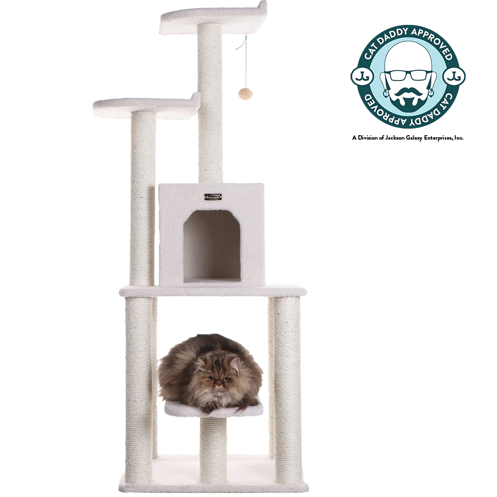 Post-Holiday Sale 2025